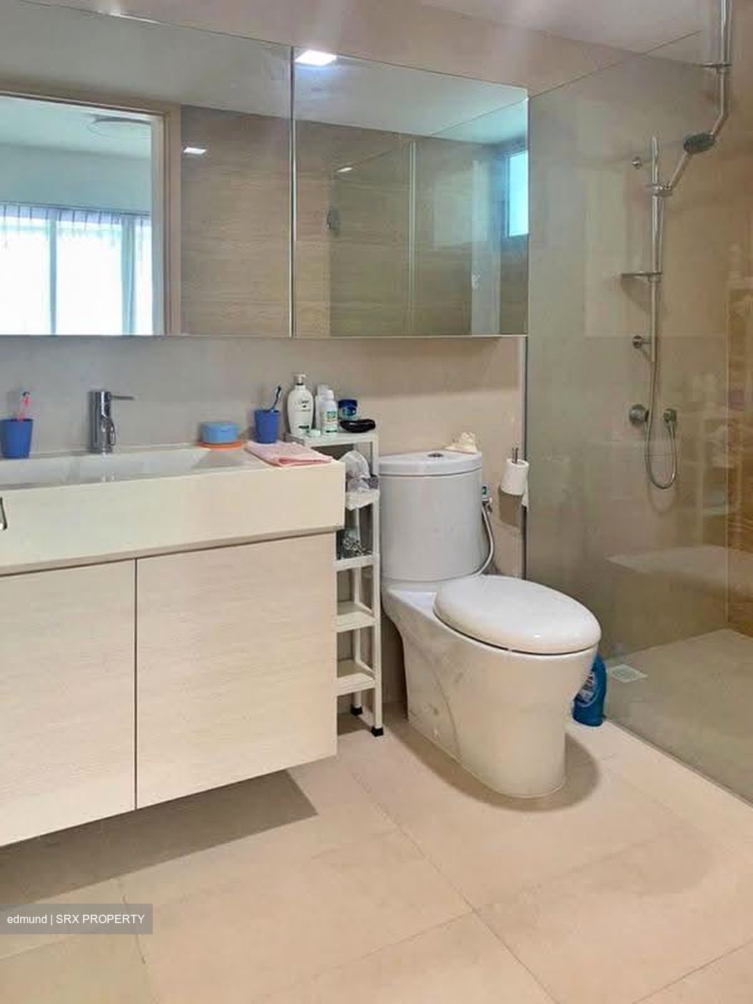 A Treasure Trove (D19), Condominium #623128761